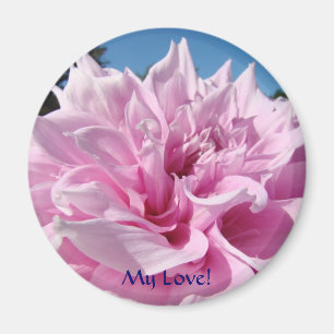 My Love! Magnets Pink Dahlia Flowers Magnet