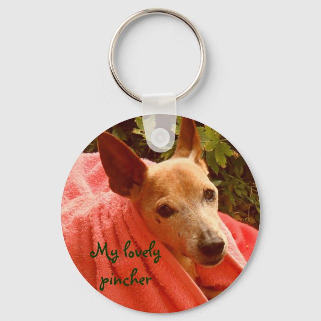 My lovely pincher key ring (Front)