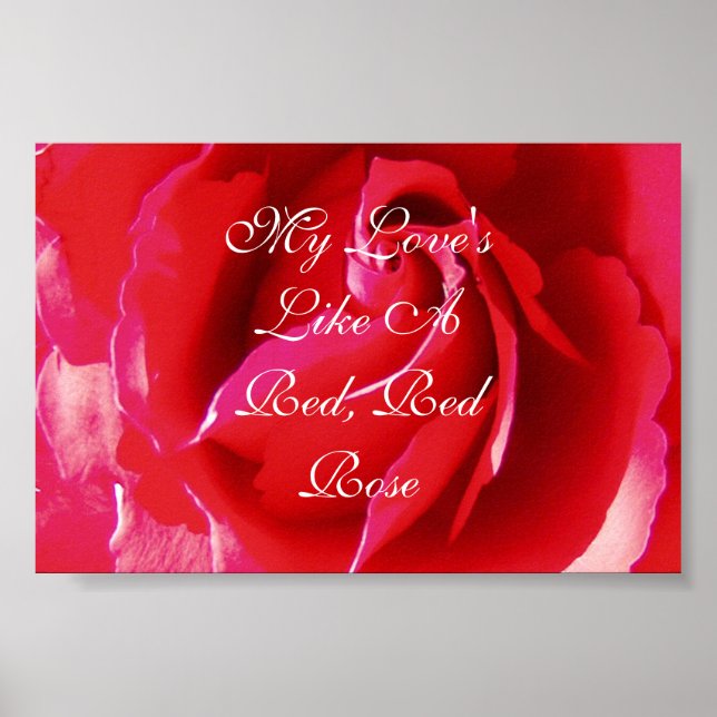 My Love's Like a Red Red Rose Poster (Front)