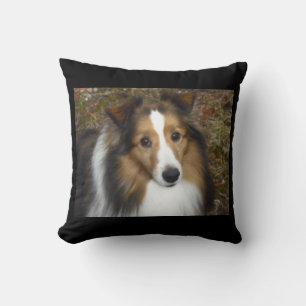 My loving Shane Pillow