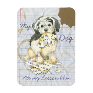 My Lowchen Ate My Lesson Plan Magnet