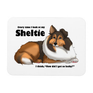 My Lucky Sheltie Magnet
