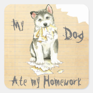 My Malemute Ate My Homework Square Sticker
