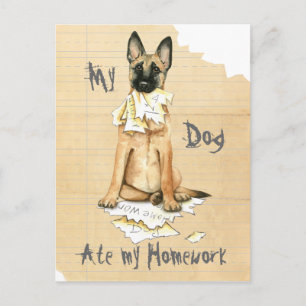 My Malinois Ate My Homework Postcard