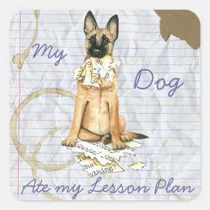 My Malinois Ate My Lesson Plan Square Sticker