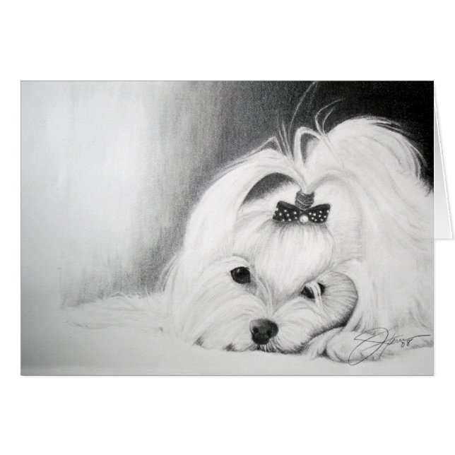 My Maltese (Front Horizontal)