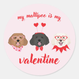 My Maltipoo Is My Valentine Classic Round Sticker