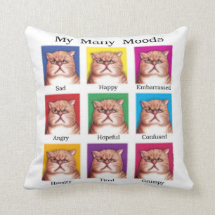 My Many Moods pillow