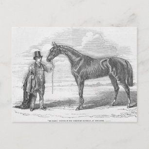 My Mary', winner of the Yorkshire Handicap Postcard