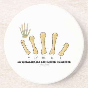 My Metacarpals Are Indeed Numbered (Anatomy) Coaster