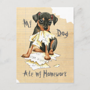 My Min Pin Ate My Homework Postcard