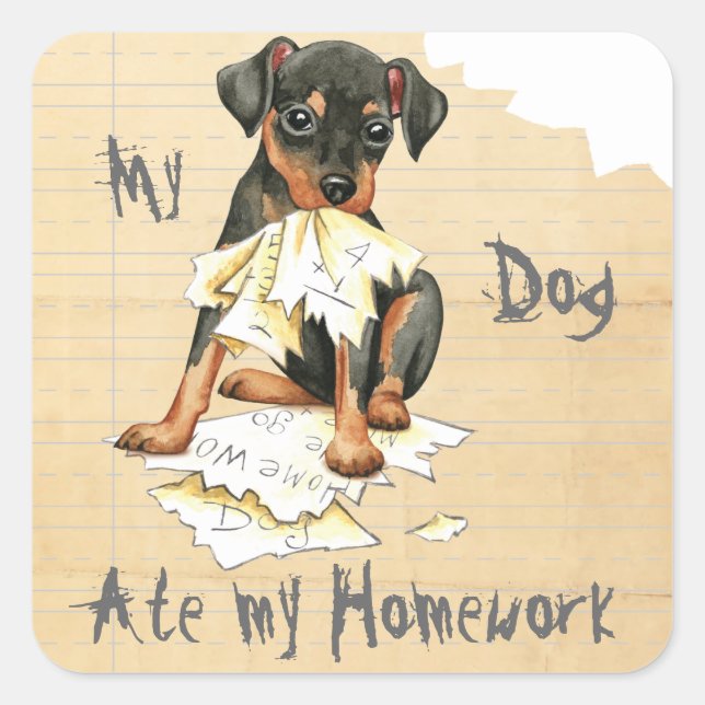 My Min Pin Ate My Homework Square Sticker (Front)
