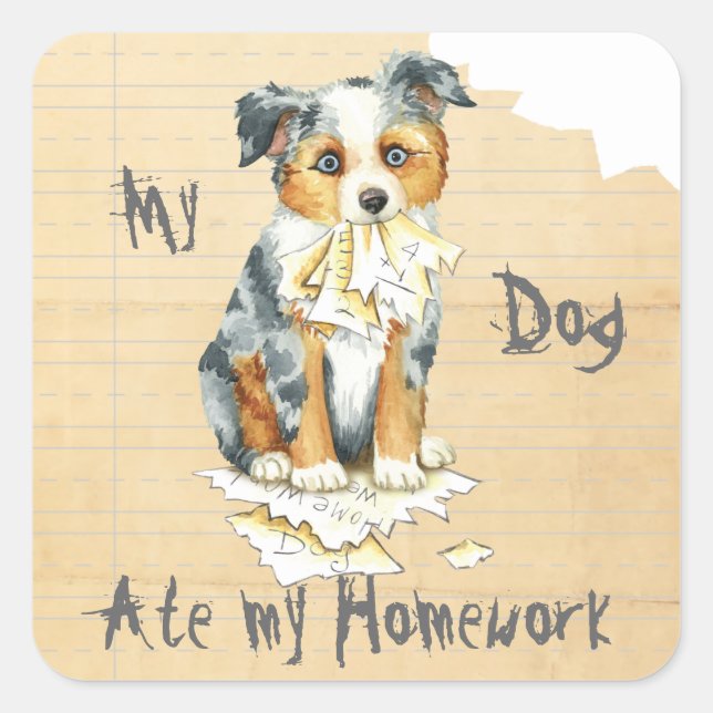 My Mini American Shepherd Ate My Homework Square Sticker (Front)