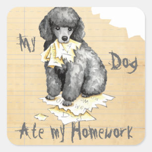 My Miniature Poodle Ate My Homework Square Sticker
