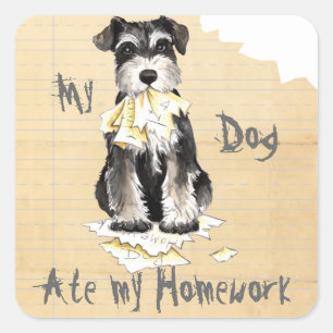 My Miniature Schnauzer Ate My Homework Square Sticker