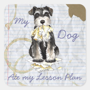 My Miniature Schnauzer Ate My Lesson Plan Square Sticker