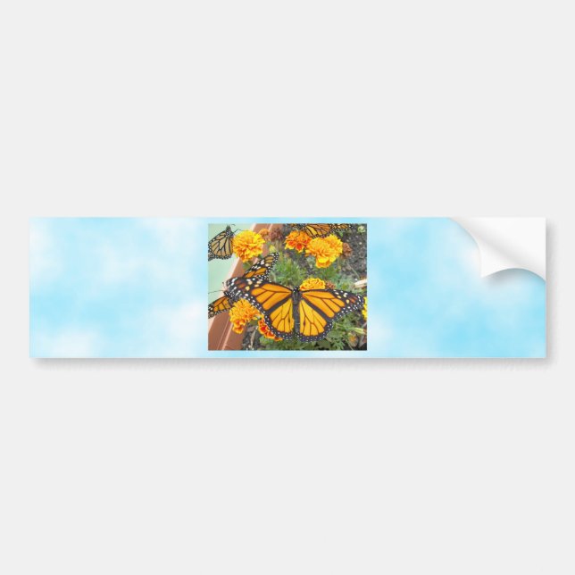 My Monarch Butterflies-bumper sticker (Front)