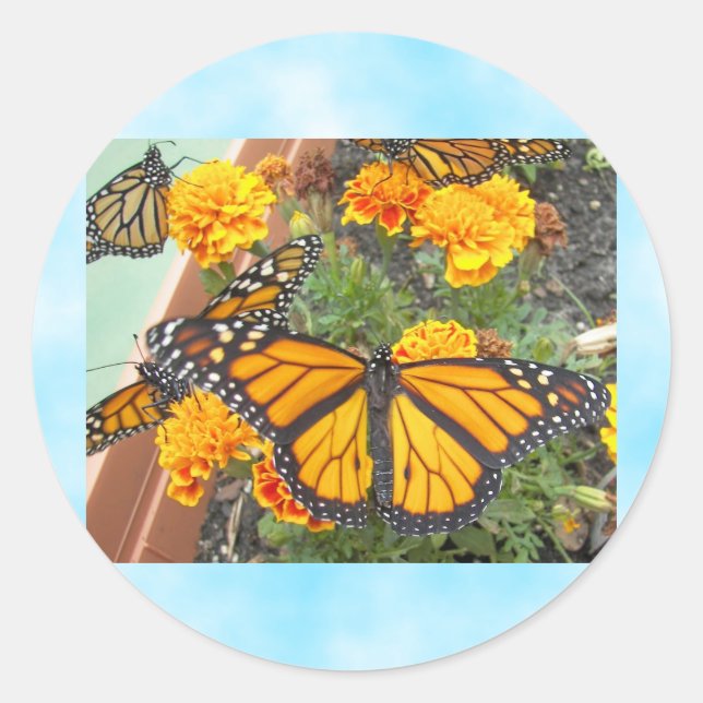 My Monarch Butterflies-sticker Classic Round Sticker (Front)