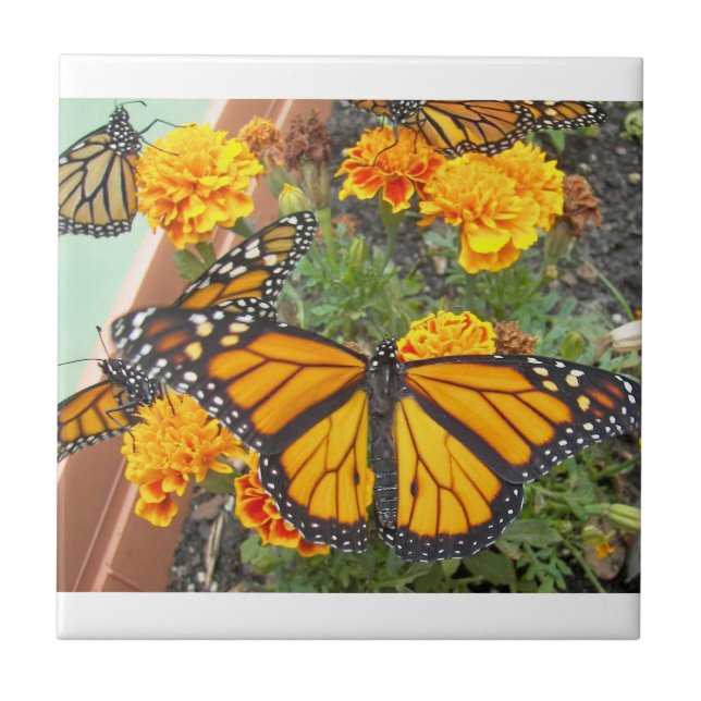 My Monarch Butterflies-tile Tile (Front)