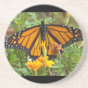 My Monarch Butterfly-coaster Coaster
