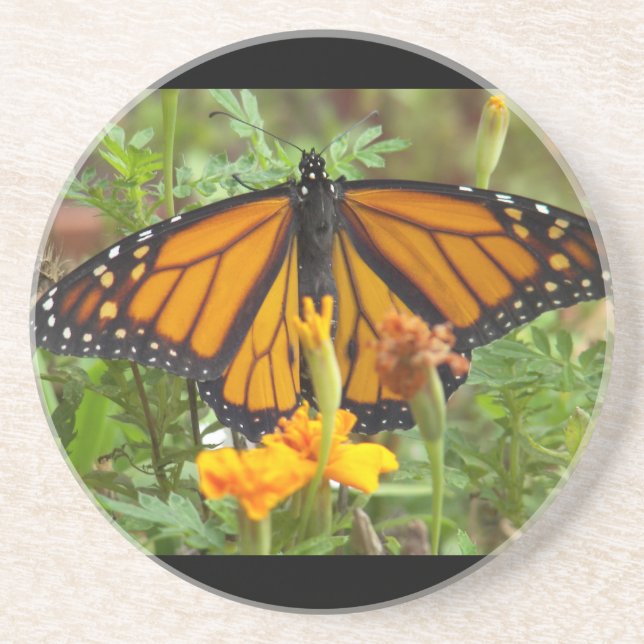 My Monarch Butterfly-coaster Coaster (Front)