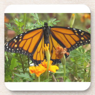 My Monarch butterfly-cork coaster