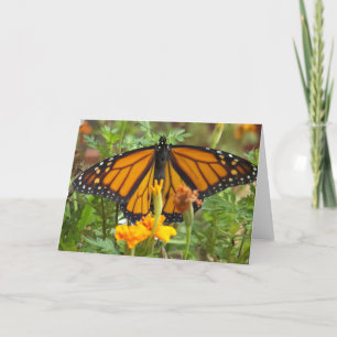 My Monarch Butterfly-greeting card