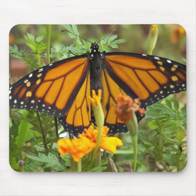 My Monarch Butterfly-mousepad Mouse Mat (Front)