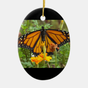 My Monarch Butterfly-oval ornament