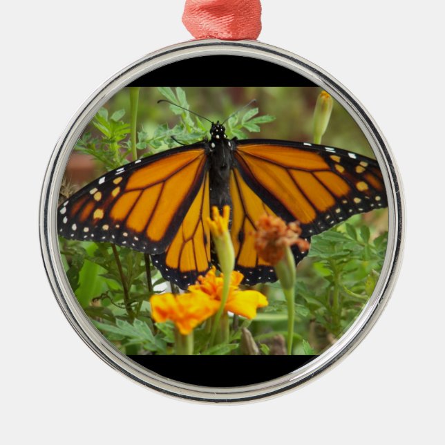 My Monarch Butterfly-premium round ornament (Front)