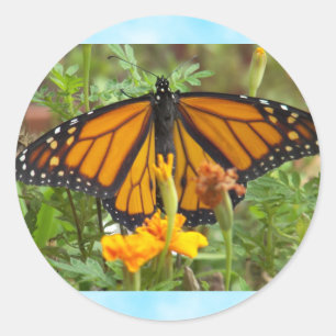 My Monarch Butterfly-sticker Classic Round Sticker