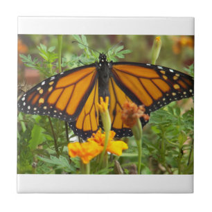 My Monarch Butterfly-tile Tile