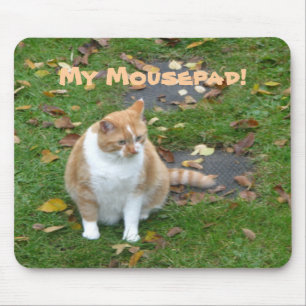 My Mousepad