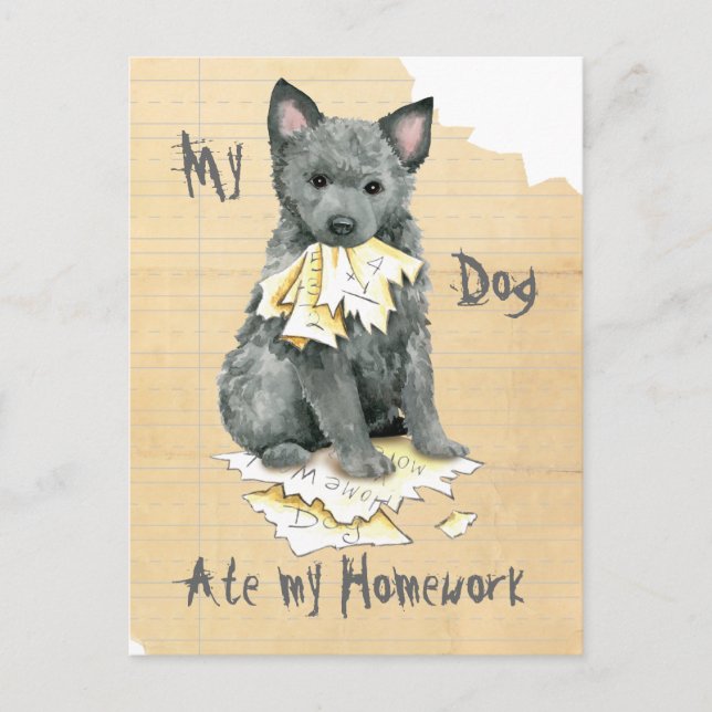 My Mudi Ate My Homework Postcard (Front)