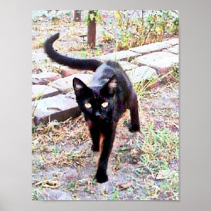 My Name Is Kitty Poster