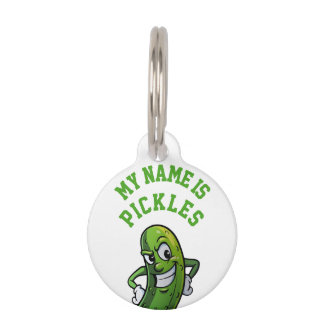 My name is pickles pet tag
