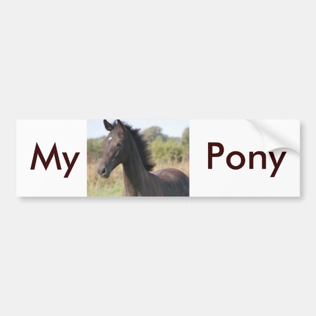 My New Pony Bumper Sticker (Front)