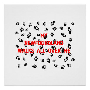 my newfoundland walks on me poster