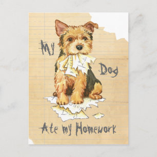 My Norwich Terrier Ate my Homework Postcard