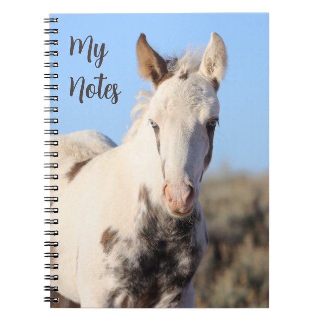My Notes Wild Horse Thora Notebook (Front)