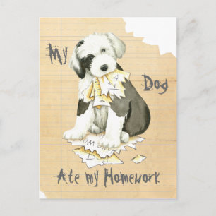 My Old English Sheepdog Ate My Homework Postcard