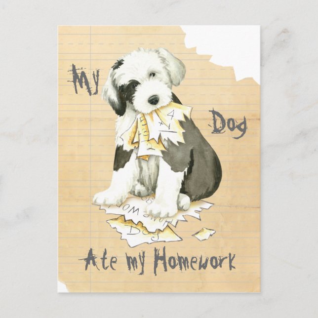 My Old English Sheepdog Ate My Homework Postcard (Front)