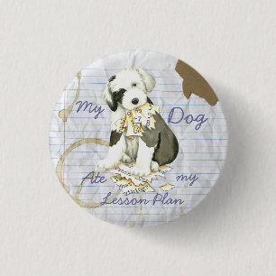 My Old English Sheepdog Ate my Lesson Plan 3 Cm Round Badge