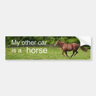 My other car is a horse bumper sticker