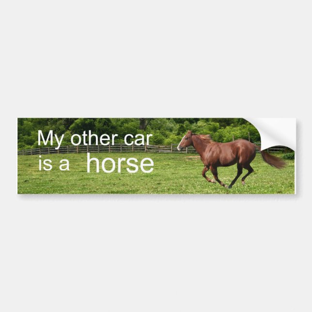 My other car is a horse bumper sticker (Front)