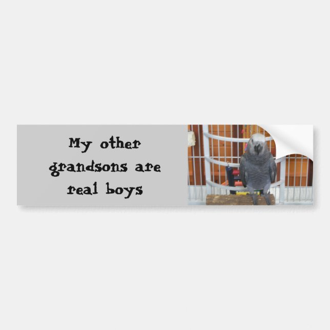 My other grandsons are real boys bumper sticker (Front)