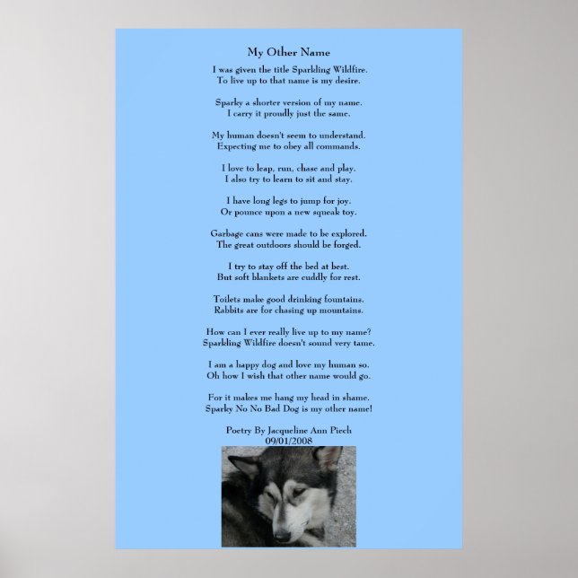 My Other Name Poetry Poster (Front)