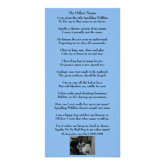 My Other Name Poetry Poster