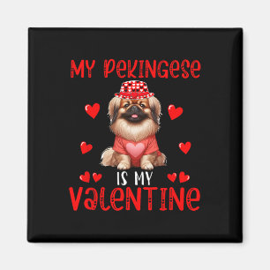My Pekingese Is My Valentine Hearts Costume Single Magnet