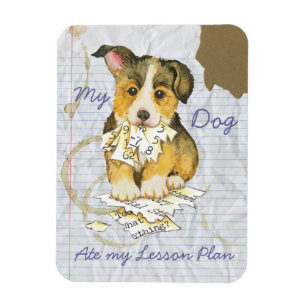 My Pembroke Welsh Corgi Ate my Lesson Plan Magnet